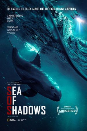 Sea of Shadows – Kampf um das Kokain des Meeres